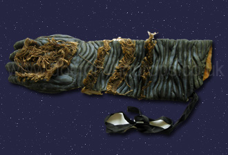 Mestor feet and hand